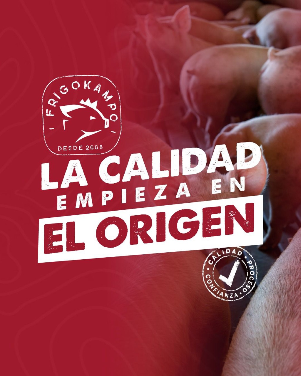 Producción porcina asociada al origen de Frigokampo